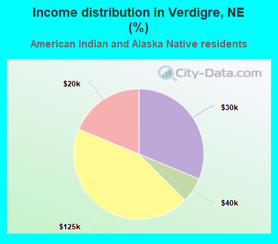 Income distribution in Verdigre, NE (%)