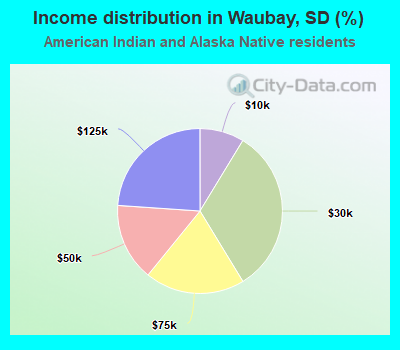 Income distribution in Waubay, SD (%)