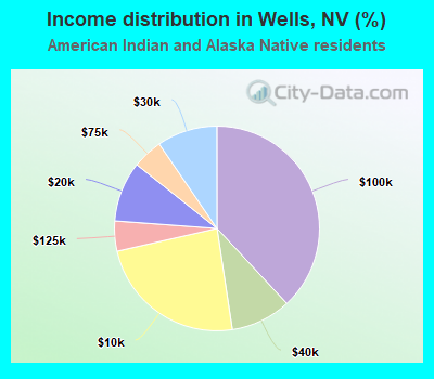 Income distribution in Wells, NV (%)