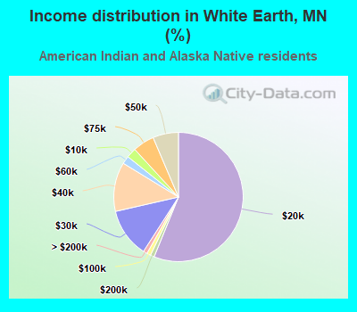 Income distribution in White Earth, MN (%)