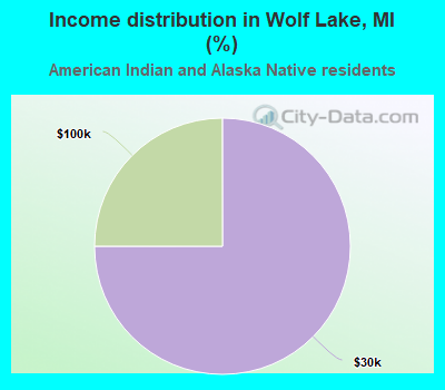 Income distribution in Wolf Lake, MI (%)