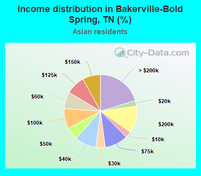 Income distribution in Bakerville-Bold Spring, TN (%)