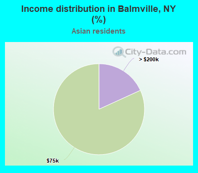 Income distribution in Balmville, NY (%)
