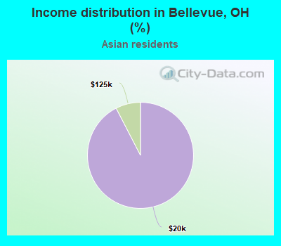 Income distribution in Bellevue, OH (%)