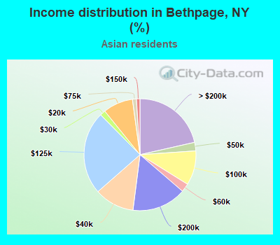 Income distribution in Bethpage, NY (%)