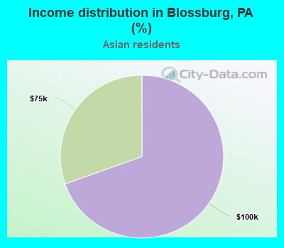 Income distribution in Blossburg, PA (%)