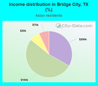 Income distribution in Bridge City, TX (%)