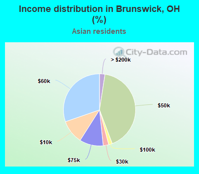 Income distribution in Brunswick, OH (%)