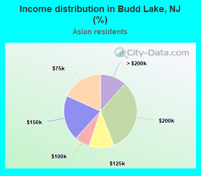 Income distribution in Budd Lake, NJ (%)