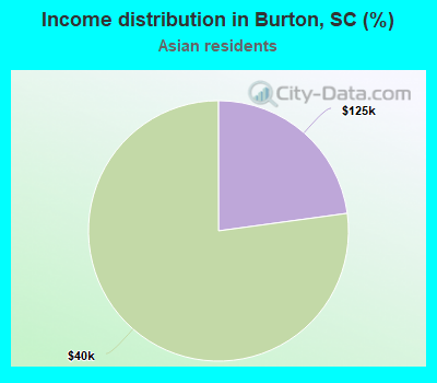 Income distribution in Burton, SC (%)