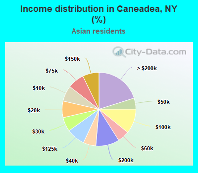 Income distribution in Caneadea, NY (%)