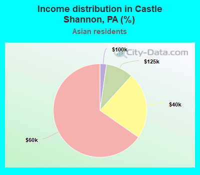 Income distribution in Castle Shannon, PA (%)