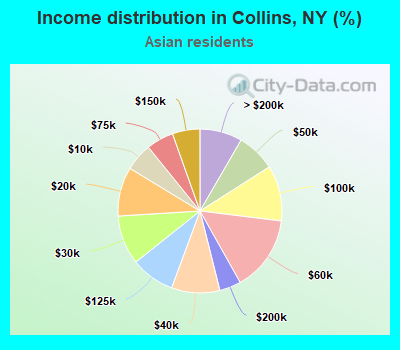 Income distribution in Collins, NY (%)