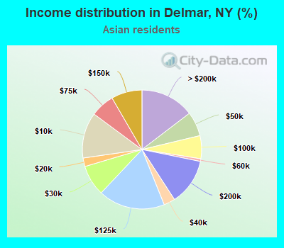 Income distribution in Delmar, NY (%)