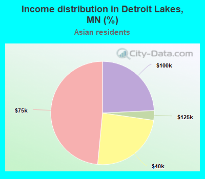 Income distribution in Detroit Lakes, MN (%)