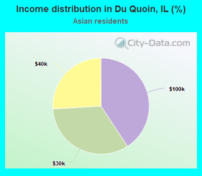 Income distribution in Du Quoin, IL (%)