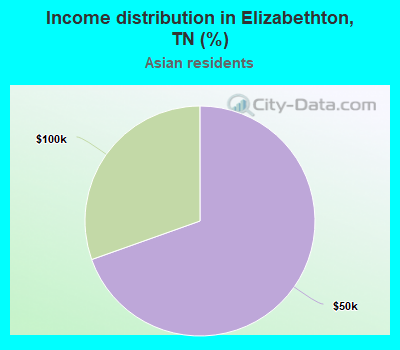 Income distribution in Elizabethton, TN (%)