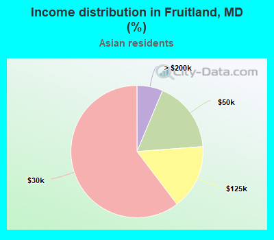 Income distribution in Fruitland, MD (%)