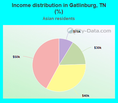 Income distribution in Gatlinburg, TN (%)