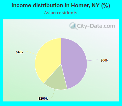 Income distribution in Homer, NY (%)