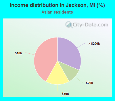 Income distribution in Jackson, MI (%)