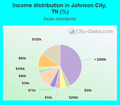 Income distribution in Johnson City, TN (%)