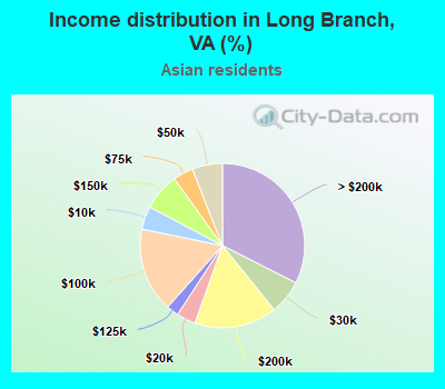 Income distribution in Long Branch, VA (%)