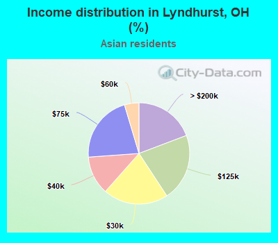 Income distribution in Lyndhurst, OH (%)