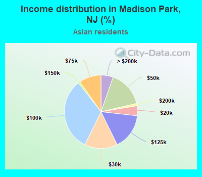 Income distribution in Madison Park, NJ (%)