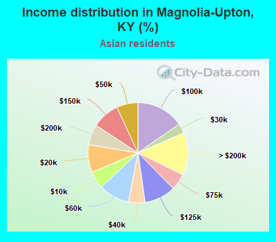 Income distribution in Magnolia-Upton, KY (%)