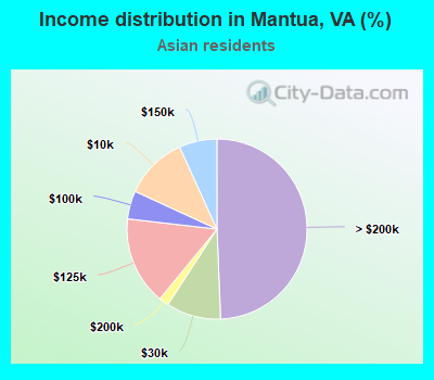 Income distribution in Mantua, VA (%)