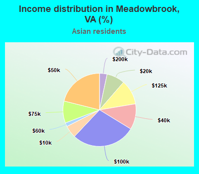 Income distribution in Meadowbrook, VA (%)