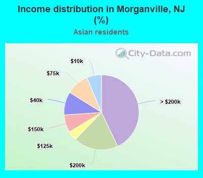 Income distribution in Morganville, NJ (%)
