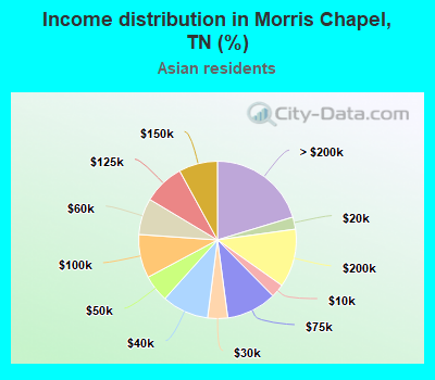 Income distribution in Morris Chapel, TN (%)