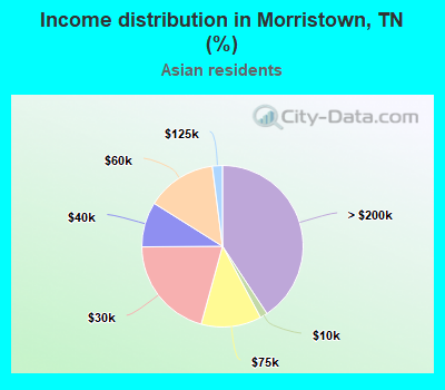 Income distribution in Morristown, TN (%)