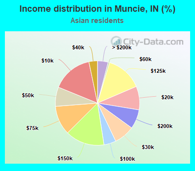 Income distribution in Muncie, IN (%)