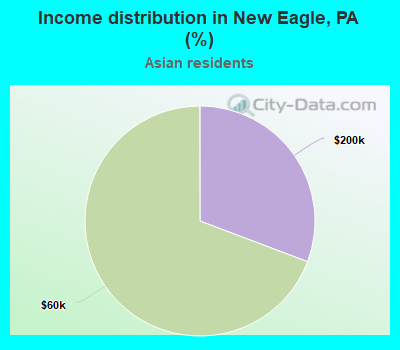 Income distribution in New Eagle, PA (%)