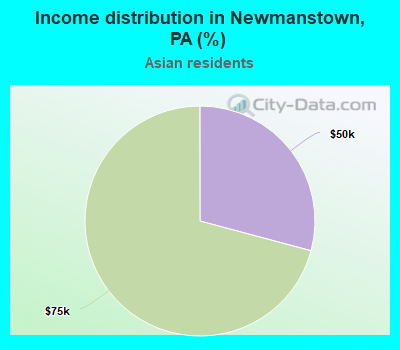 Income distribution in Newmanstown, PA (%)