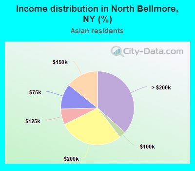 Income distribution in North Bellmore, NY (%)