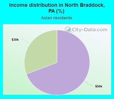 Income distribution in North Braddock, PA (%)