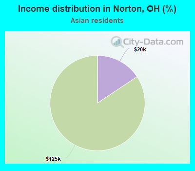 Income distribution in Norton, OH (%)