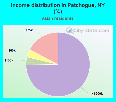 Income distribution in Patchogue, NY (%)