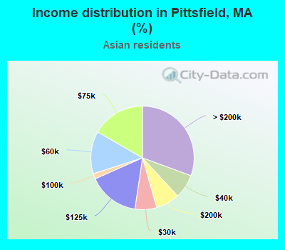 Income distribution in Pittsfield, MA (%)