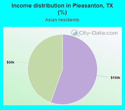 Income distribution in Pleasanton, TX (%)