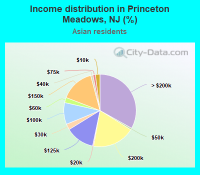 Income distribution in Princeton Meadows, NJ (%)