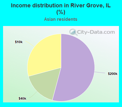 Income distribution in River Grove, IL (%)