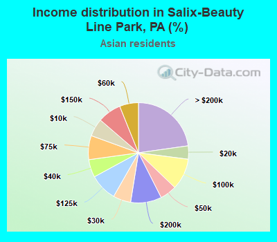 Income distribution in Salix-Beauty Line Park, PA (%)