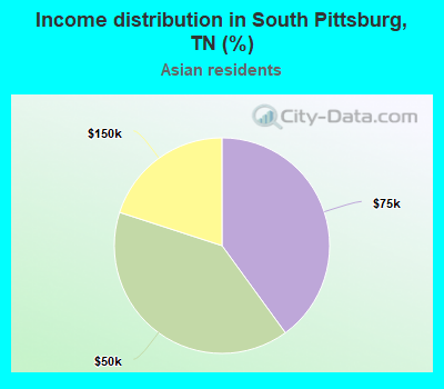 Income distribution in South Pittsburg, TN (%)