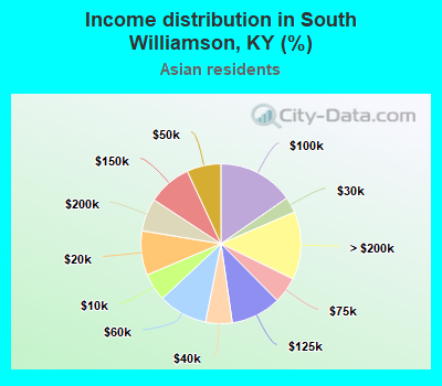 Income distribution in South Williamson, KY (%)