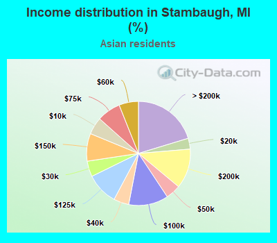 Income distribution in Stambaugh, MI (%)